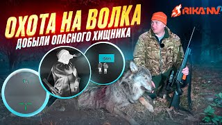 Добыл волка в Беларуси! Охота на хищника с Олегом RikaNV