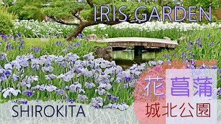 水辺の印象 ５月の花菖蒲 / 城北花菖園  / Impression of Waterside Iris Garden / 2024