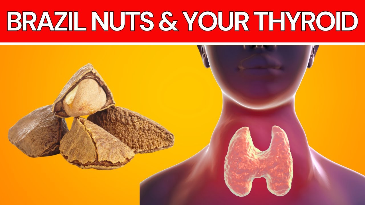 6 Reasons To Eat Brazil Nuts For Thyroid Function Youtube