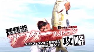 ノリーズ　琵琶湖 アフタースポーン攻略　荻野貴生