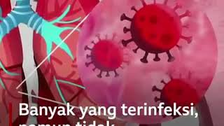 Beginilah bahayanya virus corona bila masuk ke dalam tubuh kita.