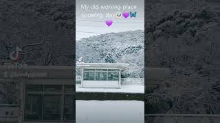 Snowing day in Japan | See to like and beautiful 💜🌧️|  Other hand lot of difficulties 🥶 #snow #win