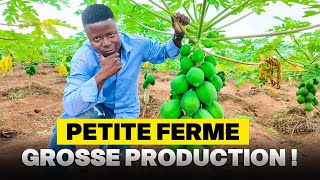 Ce producteur transforme un petit terrain en ferme diversifiée et rentable 💡