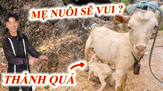 Em Nô báo tin đại mừng, mẹ Trần Thi sẽ vui rất nhiều?