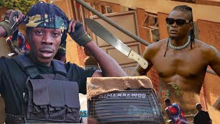 FULL VIDEO SHOWING PALLASO DESTROYING ALIEN SKIN'S PROPERTY