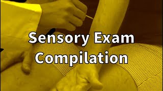 The Sensory Exam Compilation