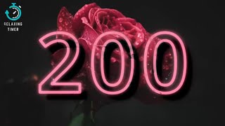 ELEGANT TIMER 200 SECONDS
