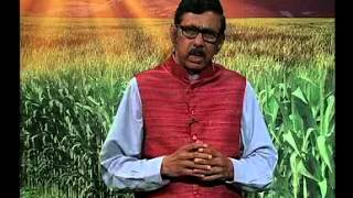 Chairman's wishing for DD Kisan Channel in English