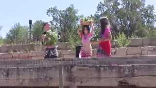 GF A2S311 Parvaneh ~ Young Belly Dance