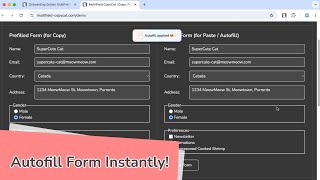 How to Autofill Forms Instantly with Chrome Extension | MultiField CopyCat