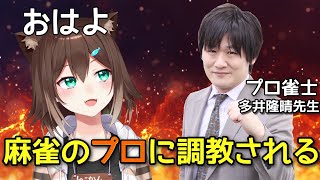 見ないで♥　　　　　　　　　　麻雀界のプロに強調される猫【雀魂】【にじさんじ】【文野環】