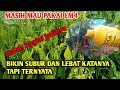 jangan remehkan pupuk ini em4  mematikan tanaman apapun buktikan jika tidak percaya