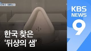 예술작품이 된 ‘변기’…17점의 샘이 예술을 묻다 / KBS뉴스(News)