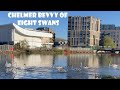 CRHnews- Chelmer River bevvy of eight swans