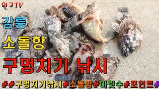 230회 동해바다 원투낚시 강릉시 소돌항 생활구멍치기낚시 돌우럭 느나느나 대박 포인트!!