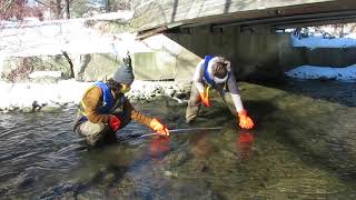 Measuring Stream Velocity Using the Float Ball Method