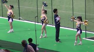 日本新薬 チアリーダーの応援2 都市対抗野球 20140726