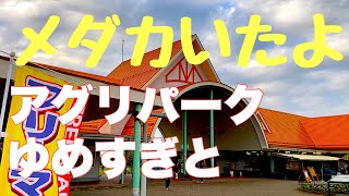 メダカやビオトープの植物を探して道の駅アグリパークゆめすぎと(埼玉県杉戸町)に行きました。たくさんの品種がいました。