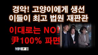 최고법원 재판관 수준 ㄷㄷ/이대로가면 尹파면 가능성/대반격 승리 비책은/