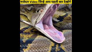 मजेदार Video जिन्हे आप पहली बार देखोगे - By Anand Facts | Amazing Facts | Interesting Video |#shorts