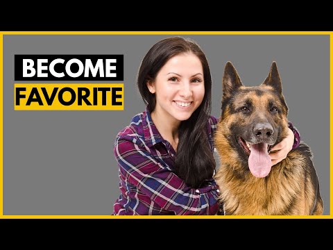 Can we play with German shepherd?