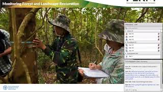 Introduction to “Innovative Approaches for Monitoring Forest and Landscape Restoration”