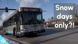 Our entire bus network changed for ONE DAY!