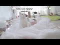 when sleep with kitten in bed eng sub