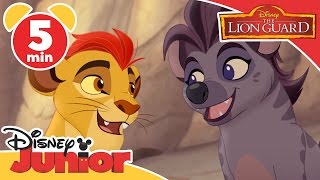 The Lion Guard | Never Judge a Hyena | Disney Junior UK