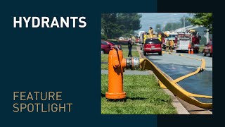 Feature Spotlight: Hydrants