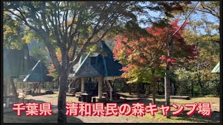 【千葉県清和県民の森キャンプ場】紹介動画　ロッジ•オート•キャンプサイト全て綺麗でリーズナブルです！是非参考に‼︎