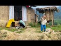 Single mother selling vegetables. Build a house for a new family member. Du Duyên daily life