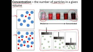 GCSE Biology | Edexcel paper 1 EVERYTHING you need to know