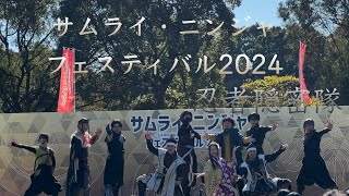 2024/11/24 大高緑地公園 サムライ・ニンジャフェスティバル2024 忍者隠密隊