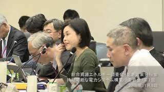 持続可能な電力システム構築小委員会（第1回）②