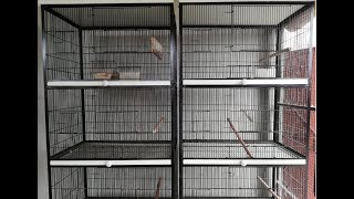 My New Spot Welding Cages | Birds Cages Details Video Urdu/Hindi