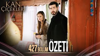 Kan Çiçekleri 427. Bölüm - Özet