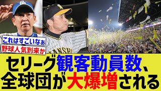 セリーグ観客動員数、ほぼすべての球団が大爆増してしまうwwww【なんJ なんG野球反応】【2ch 5ch】