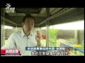 20130306 公視晚間新聞 糧產趕不上人口增加 基改作物當道