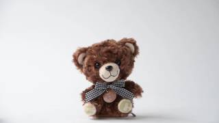 Chouettie Bear Talking Plush Collection Cookie