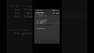 how to draw rectangle using phython turtle