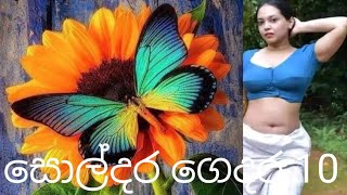 සොල්දර ගෙදර 10