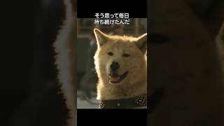 忠犬ハチ公の誕生秘話#犬＃ペット#ハチ公#hachi#渋谷