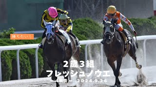 フレッシュノウエ４戦目（２歳３組）【馬券】