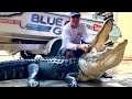 MASSIVE ALLIGATOR Catch & Cook *Shaw Grigsby* Part 2