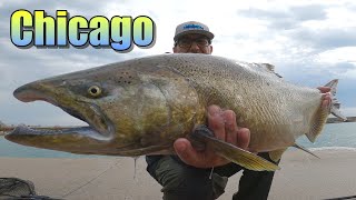 Chicago Salmon Fishing 2023 Rapala J13