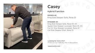 Casey Sleeper Sofa by Luonto