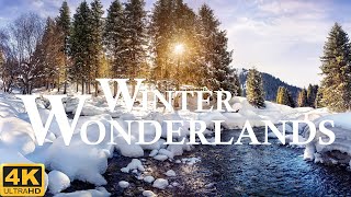 Winter Wonderlands ❄️ 4k Video Of Beautiful Winter Scenery With Beautiful Piano Music Winter Scenery