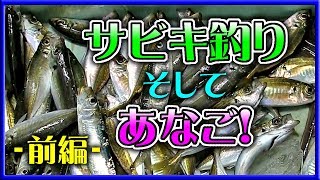 サビキ釣り そして あなご！（前編） 【 サビキ釣りの基本 アジ あなご 和歌山 釣り 】