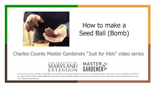 How to Make a Seed Ball (Bomb)